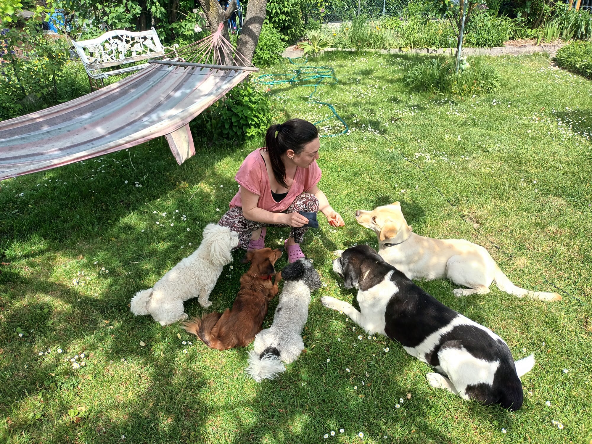 Sarah Dehner - Virtuelle Assistentin - Hundeparty